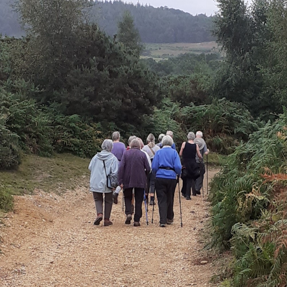 12 people walking down a gravel path through scrubland
