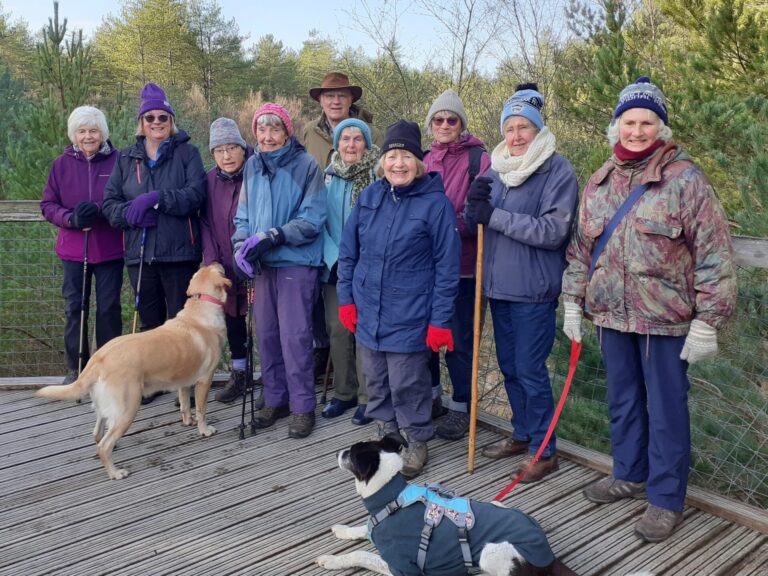 A group of Amblers pose for a photo on a sunny but chilly November walk. They are standing on the tree top walkway at Moors Valley. two dogs of with the group.