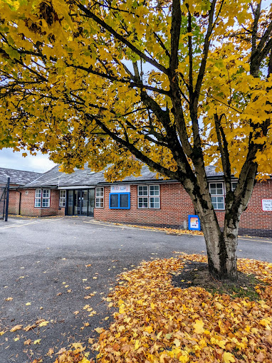 An autumn tree outside the Avonway Community Centre