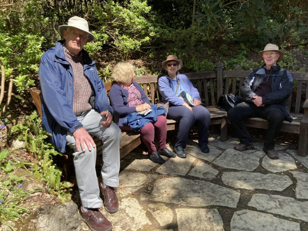 Four people sitting on a bench in sunlight